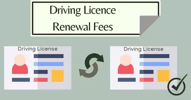 Drivers Licence Renewal Guide