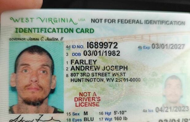 Fake Drivers Licence Detection