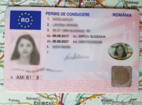 How Much Does It Cost to Get a Drivers Licence